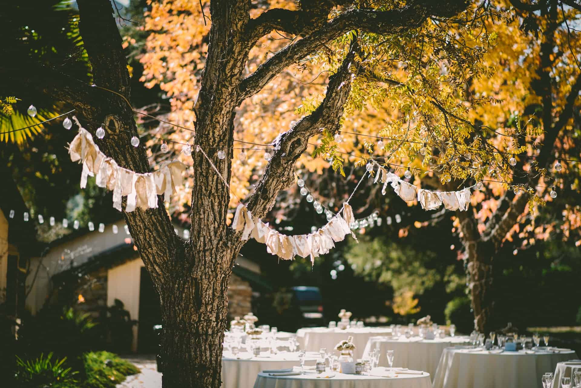Bridal Shower Decorations That Will Wow Your Guests